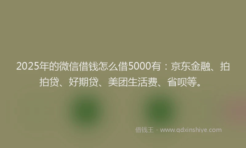 2025年的微信借钱怎么借5000有：京东金融、拍拍贷、好期贷、美团生活费、省呗等。