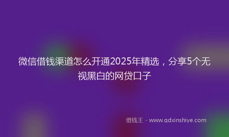 微信借钱渠道怎么开通2025年精选，分享5个无视黑白的网贷口子