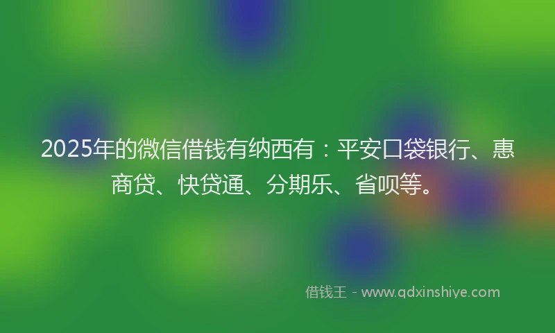 2025年的微信借钱有纳西有：平安口袋银行、惠商贷、快贷通、分期乐、省呗等。
