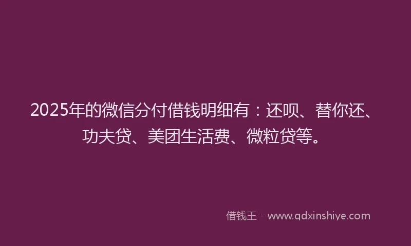 2025年的微信分付借钱明细有：还呗、替你还、功夫贷、美团生活费、微粒贷等。