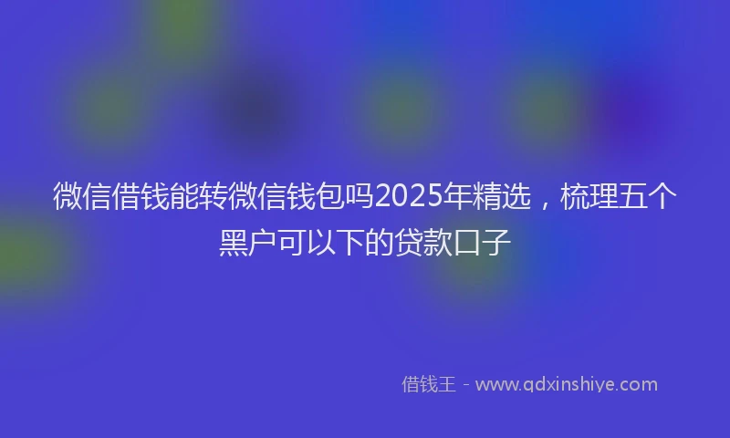 微信借钱能转微信钱包吗2025年精选，梳理五个黑户可以下的贷款口子
