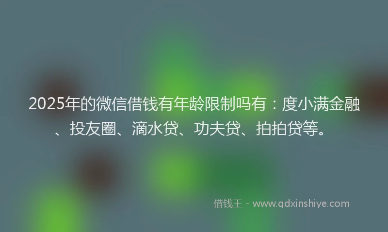 2025年的微信借钱有年龄限制吗有：度小满金融、投友圈、滴水贷、功夫贷、拍拍贷等。