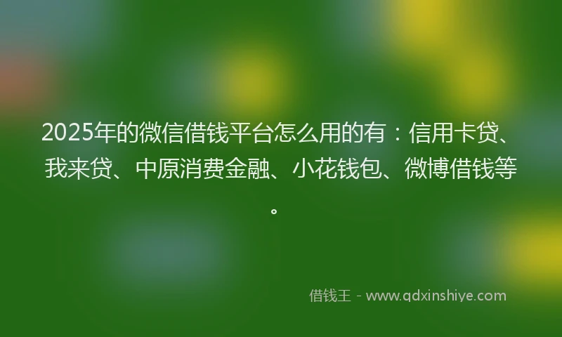 2025年的微信借钱平台怎么用的有：信用卡贷、我来贷、中原消费金融、小花钱包、微博借钱等。