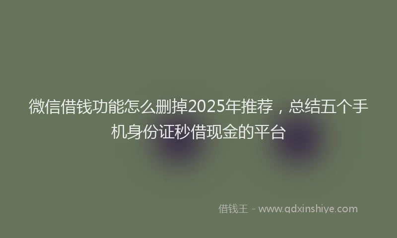 微信借钱功能怎么删掉2025年推荐，总结五个手机身份证秒借现金的平台