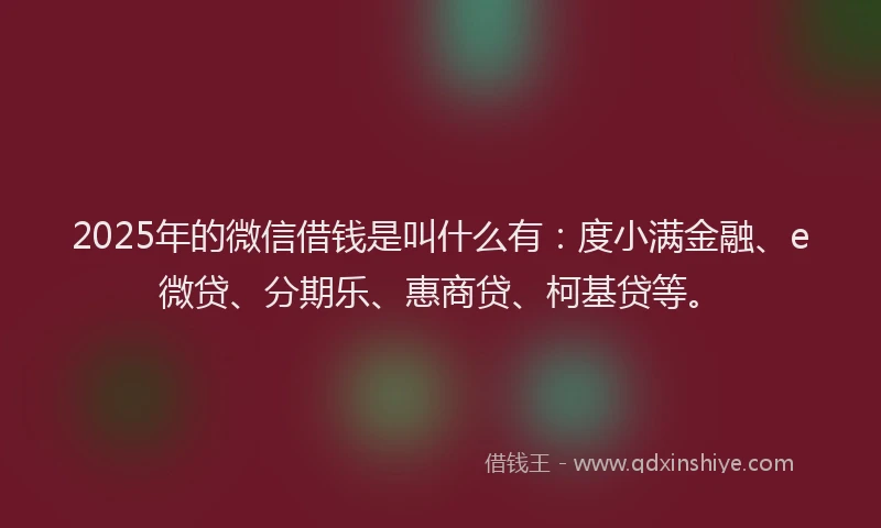 2025年的微信借钱是叫什么有：度小满金融、e微贷、分期乐、惠商贷、柯基贷等。