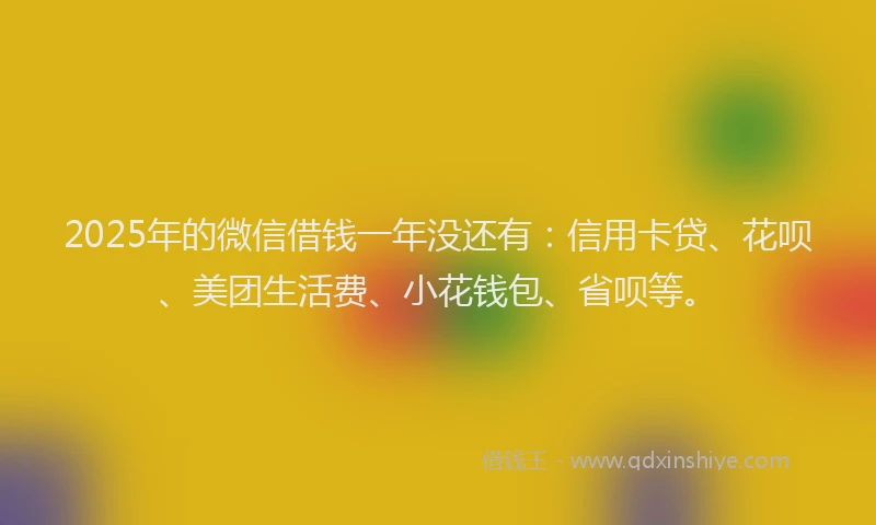 2025年的微信借钱一年没还有：信用卡贷、花呗、美团生活费、小花钱包、省呗等。