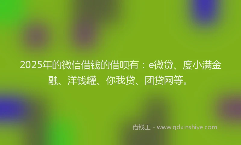 2025年的微信借钱的借呗有：e微贷、度小满金融、洋钱罐、你我贷、团贷网等。