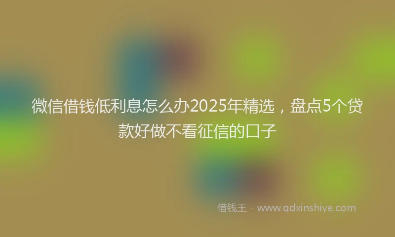 微信借钱低利息怎么办2025年精选，盘点5个贷款好做不看征信的口子