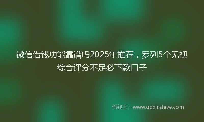 微信借钱功能靠谱吗2025年推荐，罗列5个无视综合评分不足必下款口子