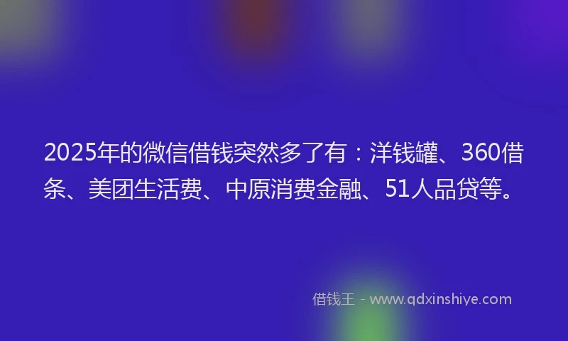 2025年的微信借钱突然多了有：洋钱罐、360借条、美团生活费、中原消费金融、51人品贷等。
