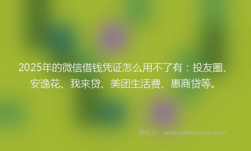 2025年的微信借钱凭证怎么用不了有：投友圈、安逸花、我来贷、美团生活费、惠商贷等。