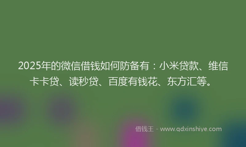2025年的微信借钱如何防备有：小米贷款、维信卡卡贷、读秒贷、百度有钱花、东方汇等。