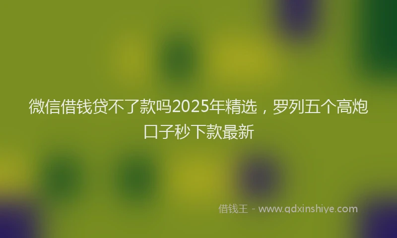 微信借钱贷不了款吗2025年精选，罗列五个高炮口子秒下款最新