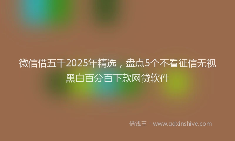微信借五千2025年精选，盘点5个不看征信无视黑白百分百下款网贷软件
