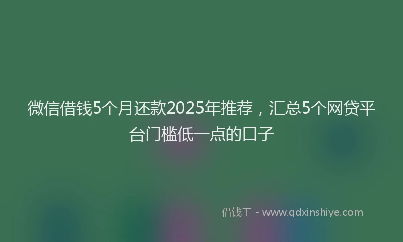 微信借钱5个月还款2025年推荐，汇总5个网贷平台门槛低一点的口子