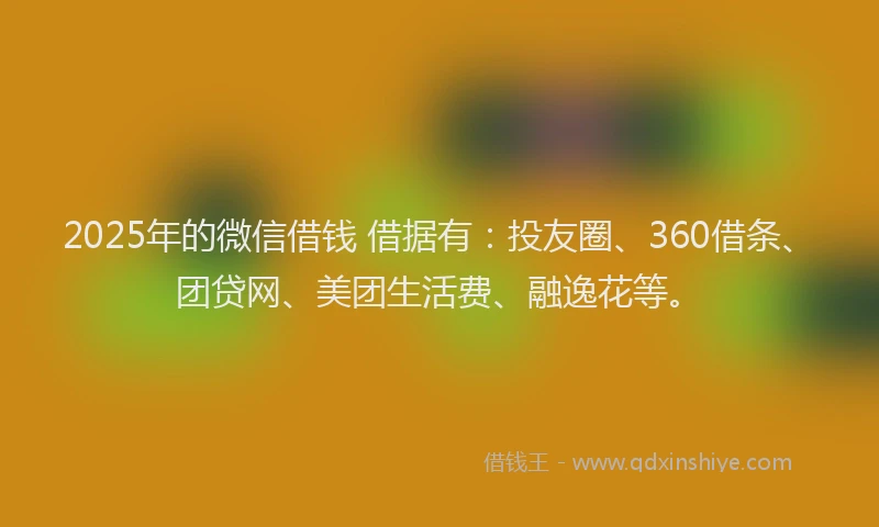 2025年的微信借钱 借据有：投友圈、360借条、团贷网、美团生活费、融逸花等。