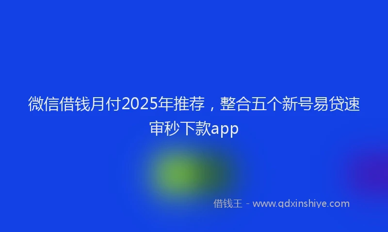 微信借钱月付2025年推荐，整合五个新号易贷速审秒下款app