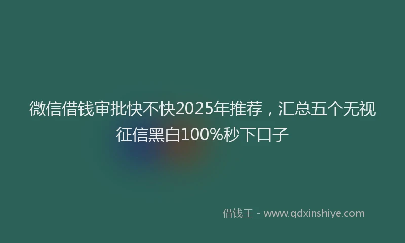 微信借钱审批快不快2025年推荐，汇总五个无视征信黑白100%秒下口子