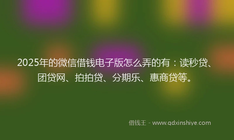 2025年的微信借钱电子版怎么弄的有：读秒贷、团贷网、拍拍贷、分期乐、惠商贷等。