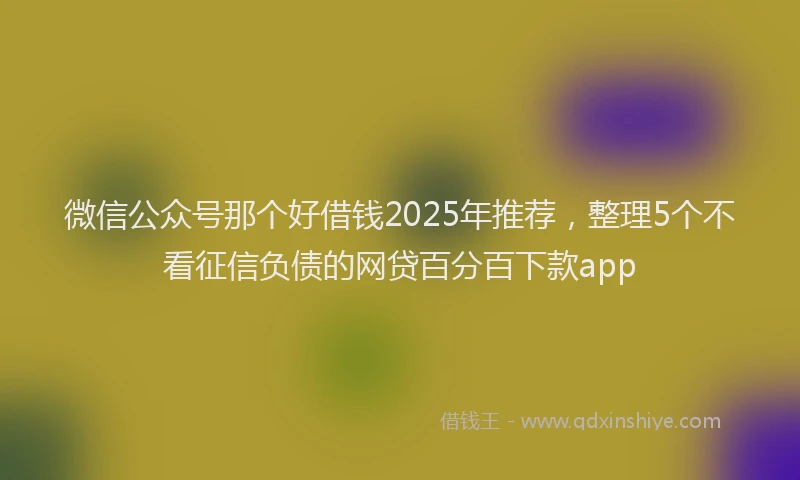 微信公众号那个好借钱2025年推荐，整理5个不看征信负债的网贷百分百下款app