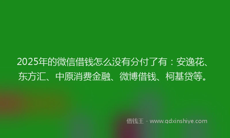 2025年的微信借钱怎么没有分付了有：安逸花、东方汇、中原消费金融、微博借钱、柯基贷等。
