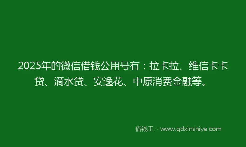 2025年的微信借钱公用号有：拉卡拉、维信卡卡贷、滴水贷、安逸花、中原消费金融等。