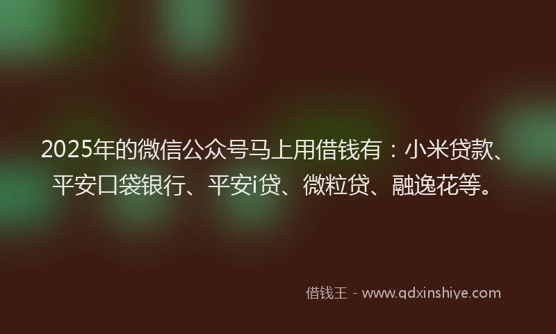 2025年的微信公众号马上用借钱有：小米贷款、平安口袋银行、平安i贷、微粒贷、融逸花等。