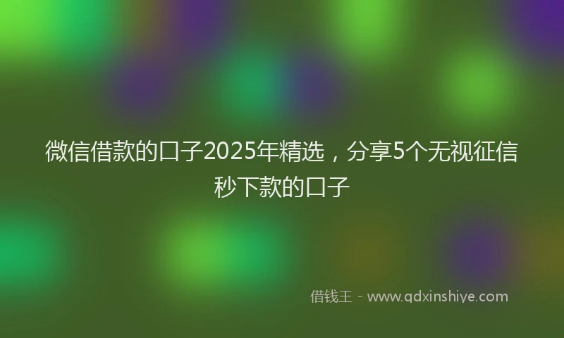 微信借款的口子2025年精选，分享5个无视征信秒下款的口子