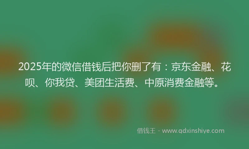 2025年的微信借钱后把你删了有：京东金融、花呗、你我贷、美团生活费、中原消费金融等。