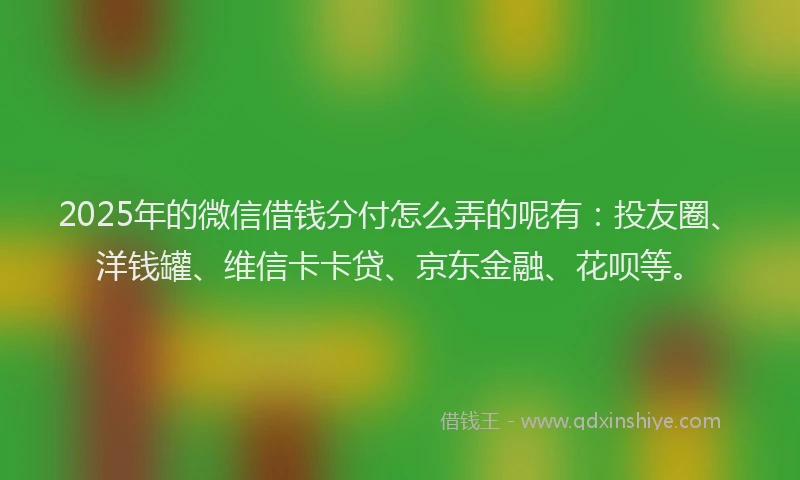 2025年的微信借钱分付怎么弄的呢有：投友圈、洋钱罐、维信卡卡贷、京东金融、花呗等。