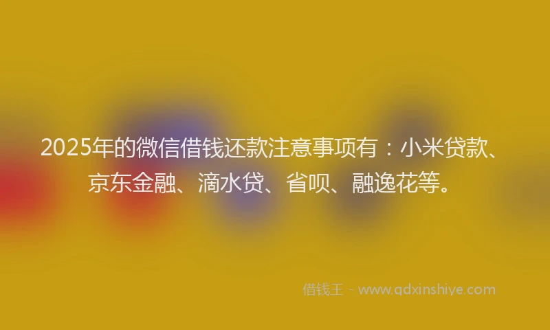 2025年的微信借钱还款注意事项有：小米贷款、京东金融、滴水贷、省呗、融逸花等。