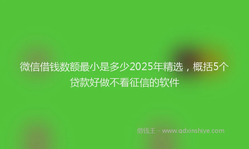 微信借钱数额最小是多少2025年精选，概括5个贷款好做不看征信的软件