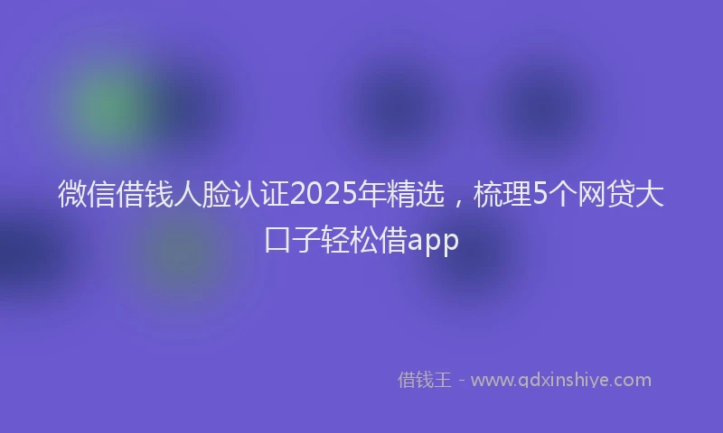 微信借钱人脸认证2025年精选，梳理5个网贷大口子轻松借app