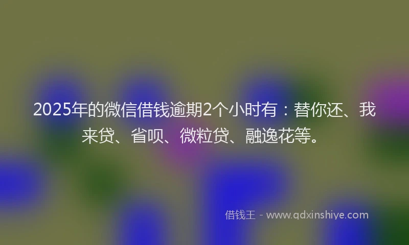 2025年的微信借钱逾期2个小时有：替你还、我来贷、省呗、微粒贷、融逸花等。