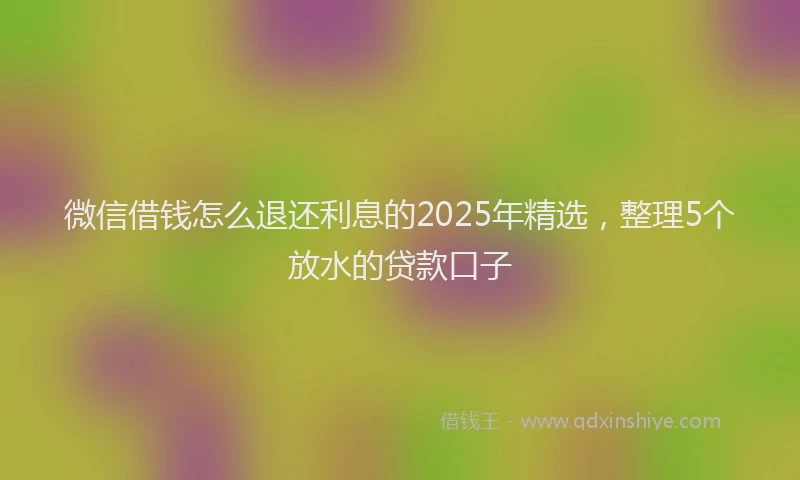 微信借钱怎么退还利息的2025年精选，整理5个放水的贷款口子