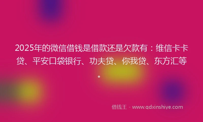 2025年的微信借钱是借款还是欠款有：维信卡卡贷、平安口袋银行、功夫贷、你我贷、东方汇等。