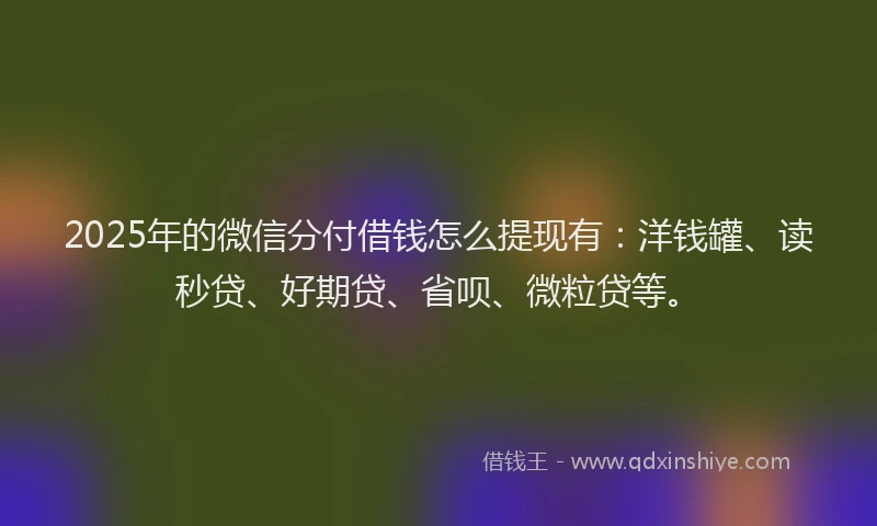 2025年的微信分付借钱怎么提现有：洋钱罐、读秒贷、好期贷、省呗、微粒贷等。