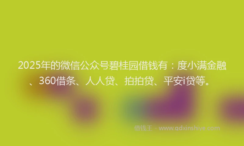 2025年的微信公众号碧桂园借钱有：度小满金融、360借条、人人贷、拍拍贷、平安i贷等。