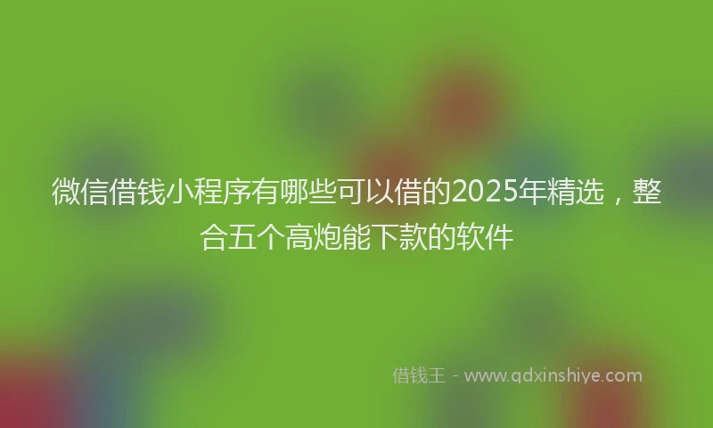 微信借钱小程序有哪些可以借的2025年精选，整合五个高炮能下款的软件