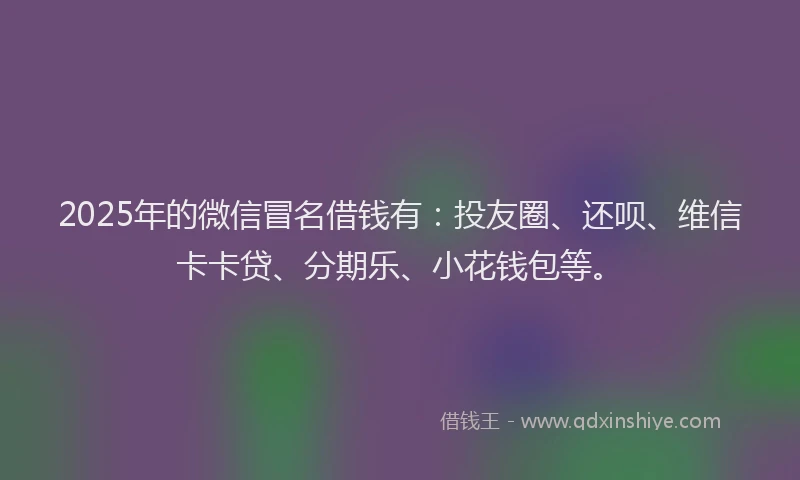 2025年的微信冒名借钱有：投友圈、还呗、维信卡卡贷、分期乐、小花钱包等。