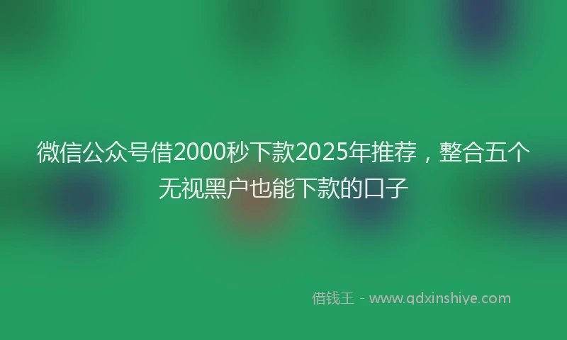 微信公众号借2000秒下款2025年推荐，整合五个无视黑户也能下款的口子