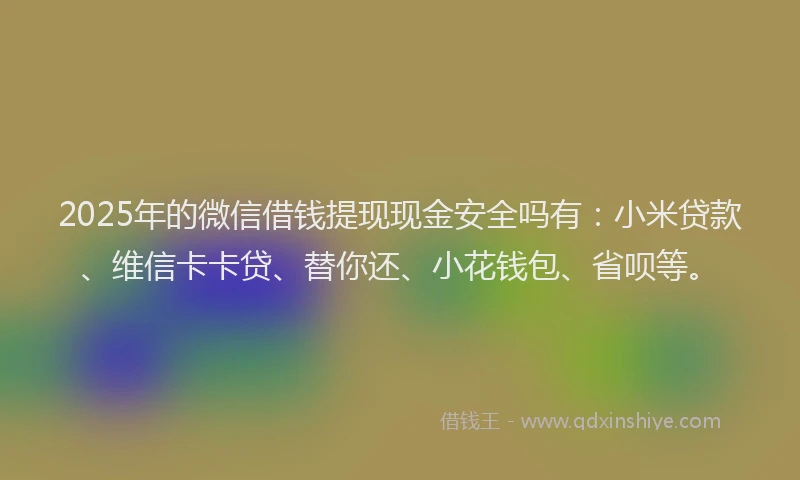 2025年的微信借钱提现现金安全吗有：小米贷款、维信卡卡贷、替你还、小花钱包、省呗等。