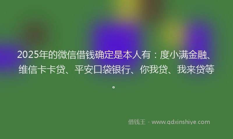 2025年的微信借钱确定是本人有：度小满金融、维信卡卡贷、平安口袋银行、你我贷、我来贷等。