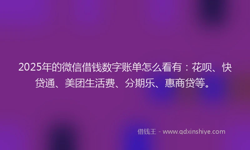 2025年的微信借钱数字账单怎么看有：花呗、快贷通、美团生活费、分期乐、惠商贷等。