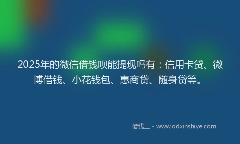 2025年的微信借钱呗能提现吗有：信用卡贷、微博借钱、小花钱包、惠商贷、随身贷等。