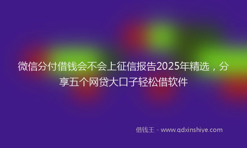 微信分付借钱会不会上征信报告2025年精选，分享五个网贷大口子轻松借软件