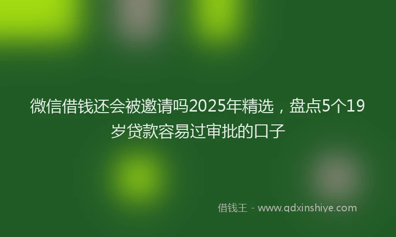 微信借钱还会被邀请吗2025年精选，盘点5个19岁贷款容易过审批的口子