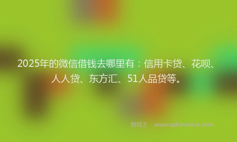 2025年的微信借钱去哪里有：信用卡贷、花呗、人人贷、东方汇、51人品贷等。