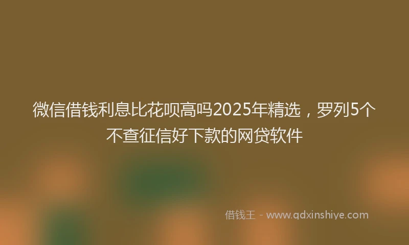 微信借钱利息比花呗高吗2025年精选，罗列5个不查征信好下款的网贷软件
