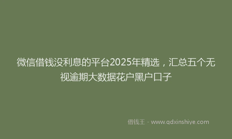 微信借钱没利息的平台2025年精选，汇总五个无视逾期大数据花户黑户口子